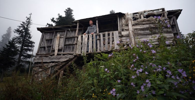 Gölyanı Yaylası'nın otantik ahşap evleri ziyaretçilerini yöresel mimarisiyle karşılıyor