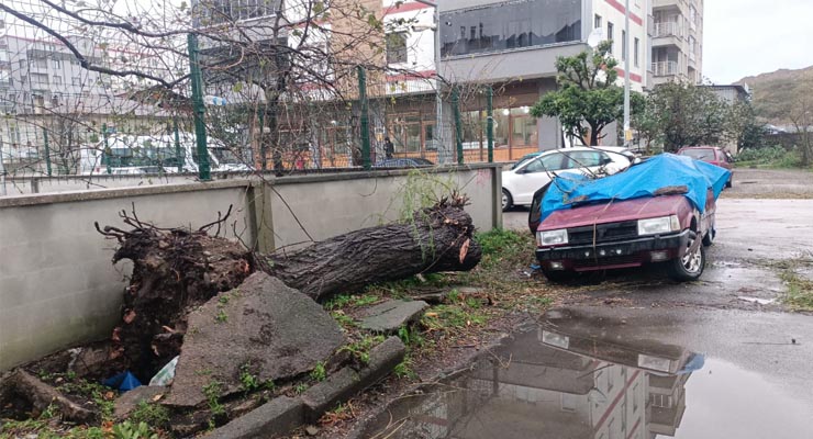 GİRESUN’DA HASAR BÜYÜK