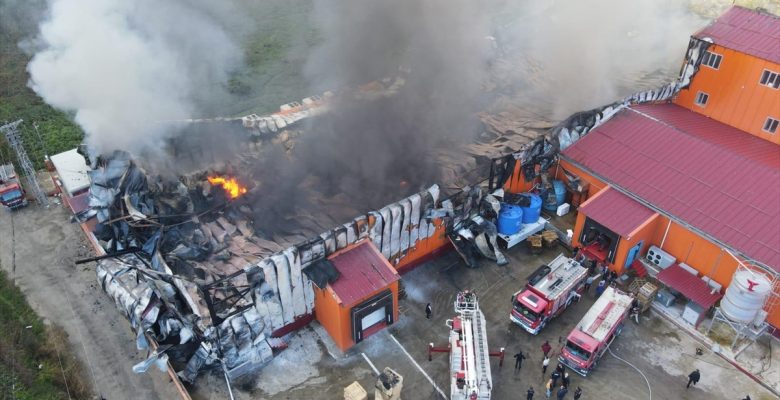 GÜNCELLEME – Giresun'da balık işleme fabrikasının soğuk hava deposundaki yangın kontrol altına alındı
